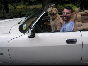 Dog in a convertable